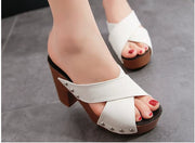 Eye-Catching Women's Suede Sandals with Cross Rivet Open Toe and High Chunky Heel