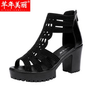 Women Thick-Soled Waterproof Platform Thick Heel Large Roman Fish-Mouth Shioes