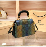 Women's Light Luxury Designer High Quality  Contrast Color Crossbody Bag