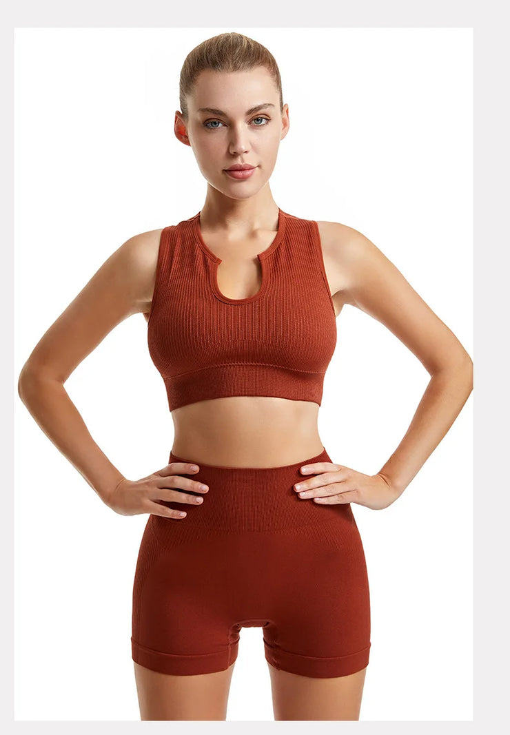 Seamless High-Waist Leggings Sports Bra Yoga Set Women&