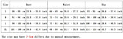 Women's Sporty Surfing Bikini Set Fashion Printed Lace-Up Swimsuit High-Waisted Beachwear Swimwear with Splice Details